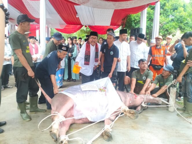 
					Tradisi Betawi Andilan Potong Kerbau Jelang Lebaran Idul Fitri